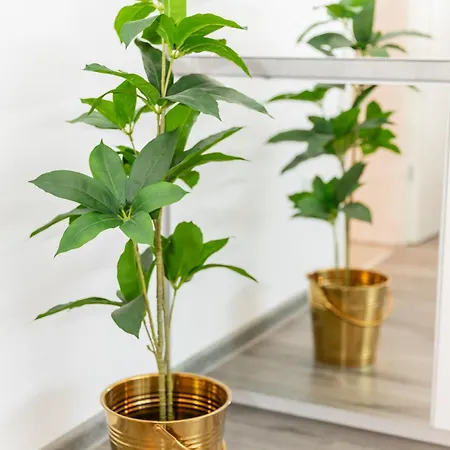 Bloom Ultracentral * בוקרשט