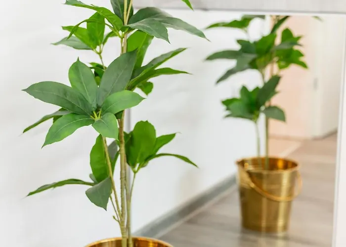 Bloom Ultracentral * 布加勒斯特